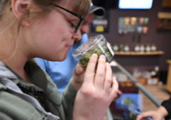 Girl smelling cannabis aroma.
