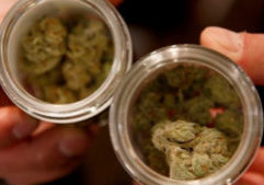 cannabis lounge