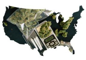 United states map of weed