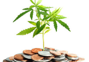 Marijuana and money.