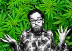 Can't find any weed?